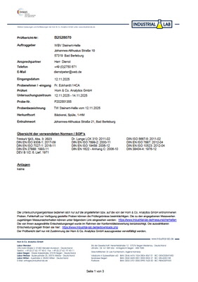 Untersuchungsbericht WSH